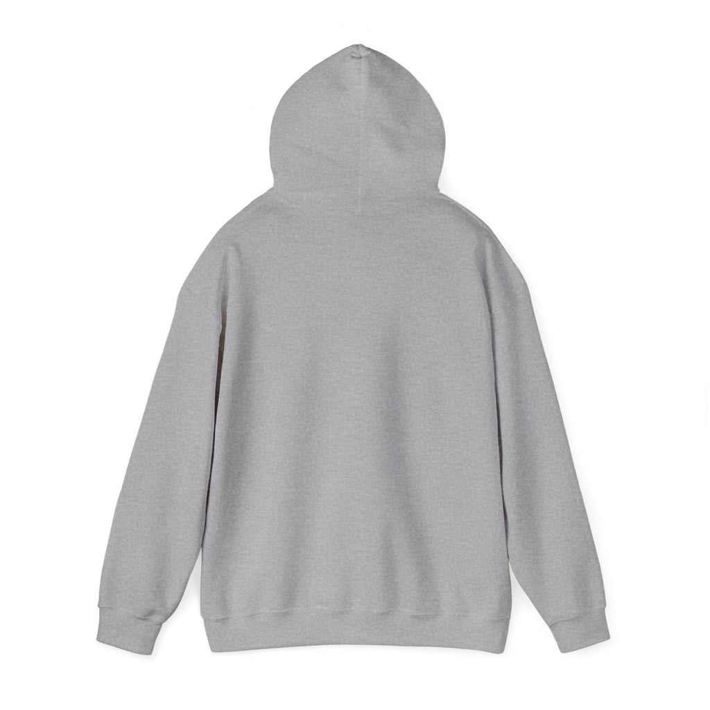 Dressing Room Star Hoodie — Pink Glitter Star Graphic Pullover