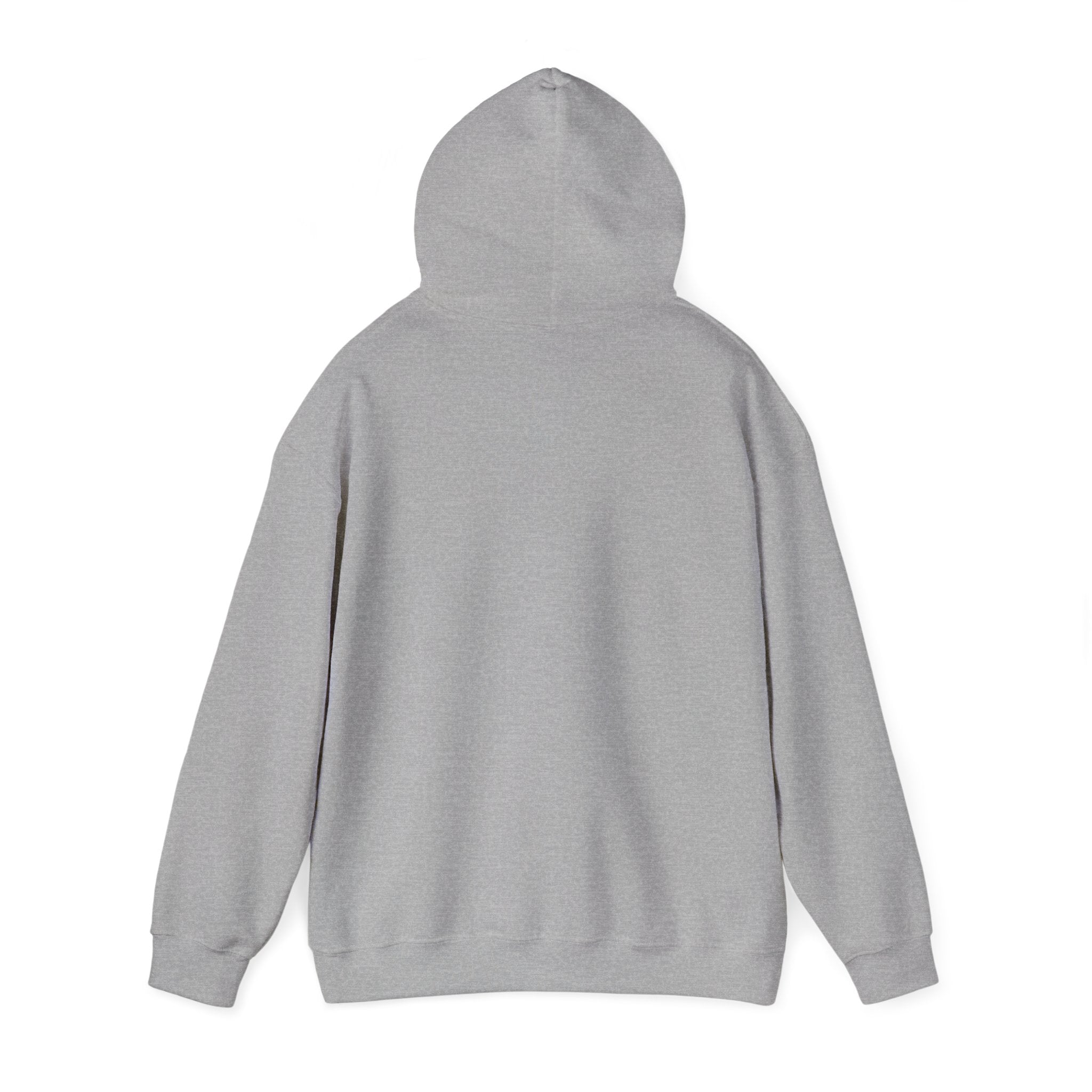 Dressing Room Star Hoodie — Pink Glitter Star Graphic Pullover