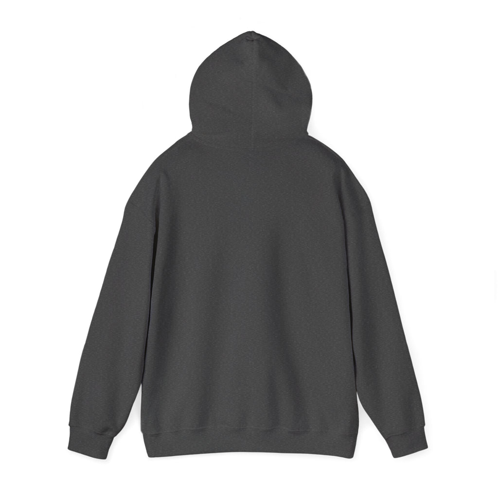 Dressing Room Star Hoodie — Pink Glitter Star Graphic Pullover