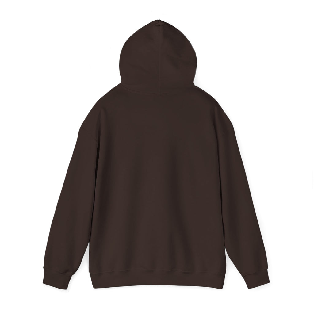 Dressing Room Star Hoodie — Pink Glitter Star Graphic Pullover