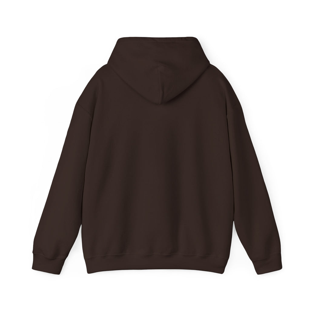 Dressing Room Star Hoodie — Pink Glitter Star Graphic Pullover