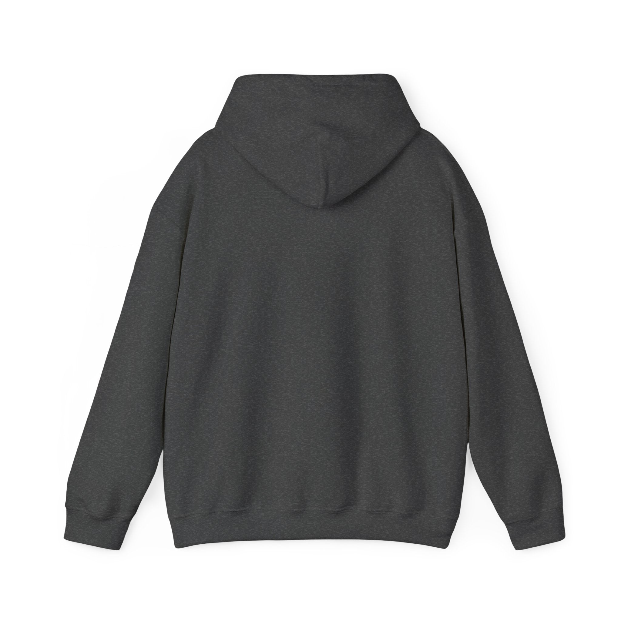 Dressing Room Star Hoodie — Pink Glitter Star Graphic Pullover