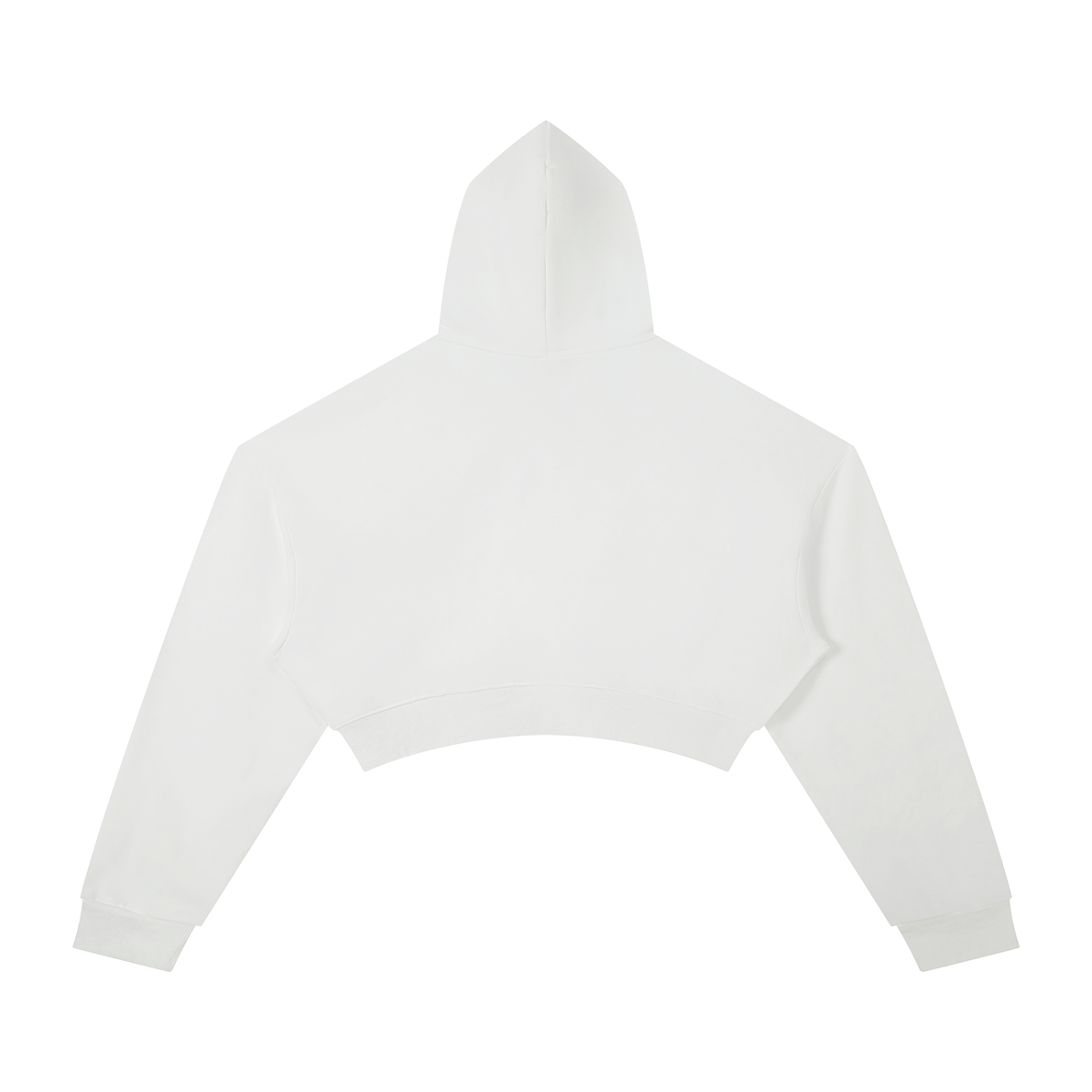 Women's Cropped Graphic Hoodie – "Diversity Is Our Grace" Retro Streetwear Pullover Crop Top Sweatshirt