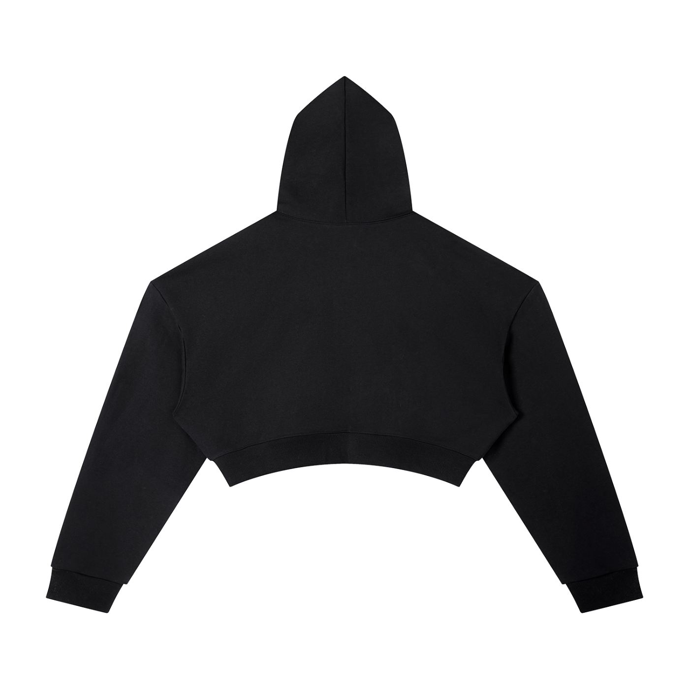 Women's Cropped Graphic Hoodie – "Diversity Is Our Grace" Retro Streetwear Pullover Crop Top Sweatshirt